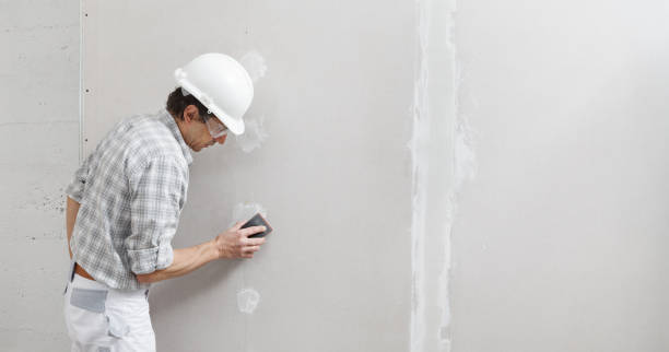 Arlington, TN Mold Removal Company